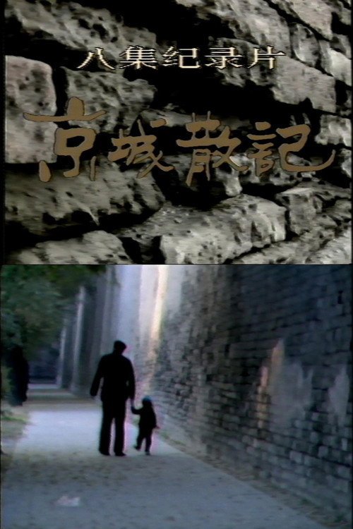 Notes from Beijing poster
