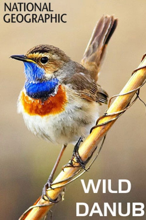 Wild Danube poster