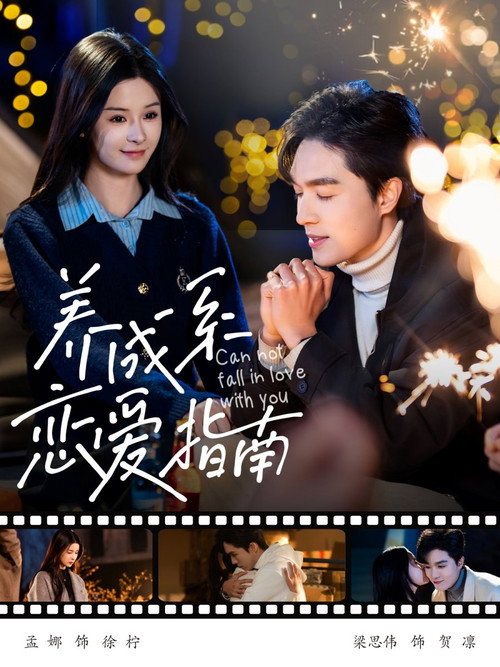 养成系恋爱指南 poster