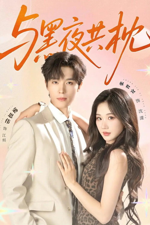 与黑夜共枕 poster