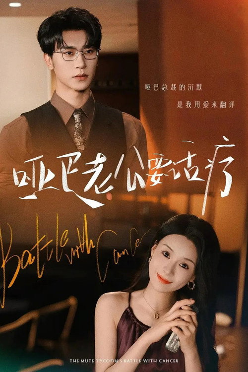 哑巴老公要话疗 poster