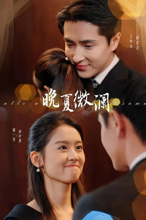晚夏微澜 poster
