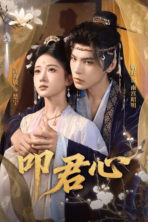 叩君心 poster