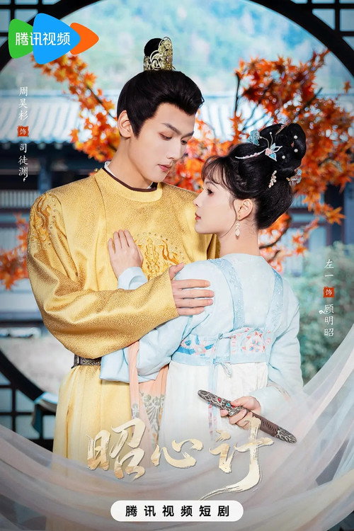 昭心计 poster