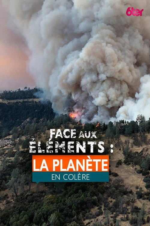 Face aux éléments poster