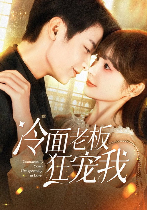 冷面老板狂宠我 poster