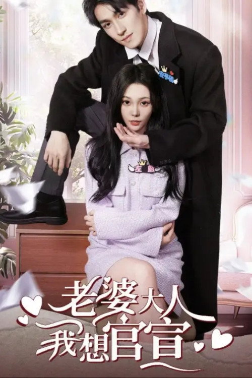 老婆大人我想官宣 poster