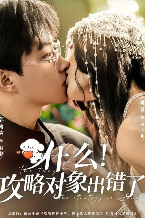什么！攻略对象出错了 poster