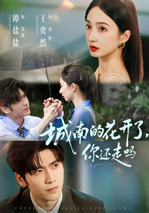 城南的花开了，你还走吗 poster