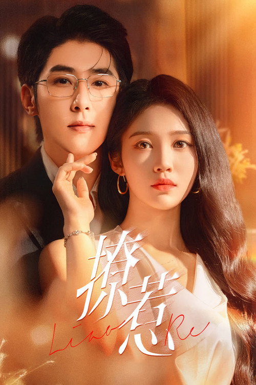 Provocative Love poster