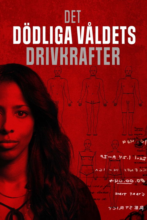 Det dödliga våldets drivkrafter poster