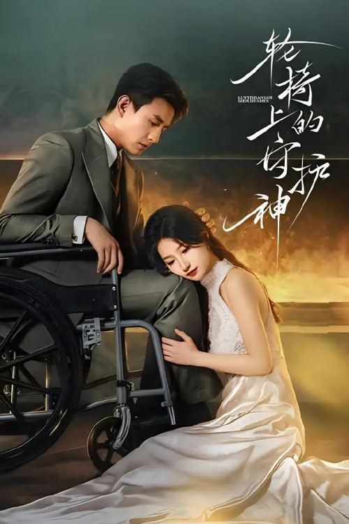 轮椅上的守护神 poster