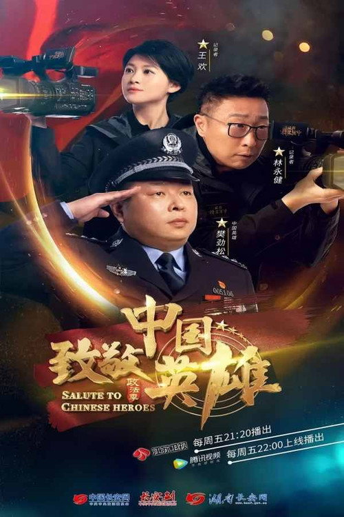 致敬中国英雄 poster