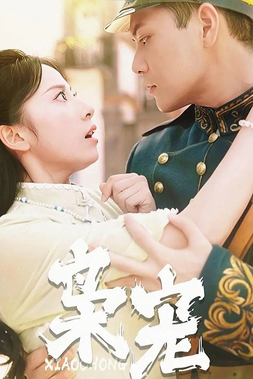 枭宠 poster