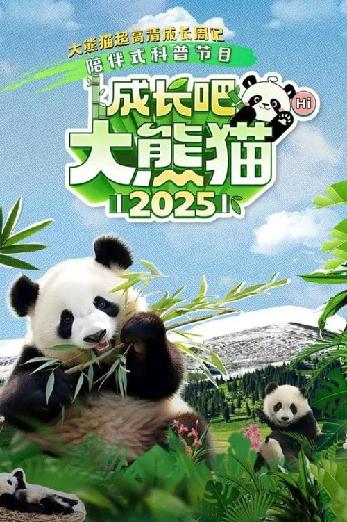 成长吧!大熊猫2025 poster