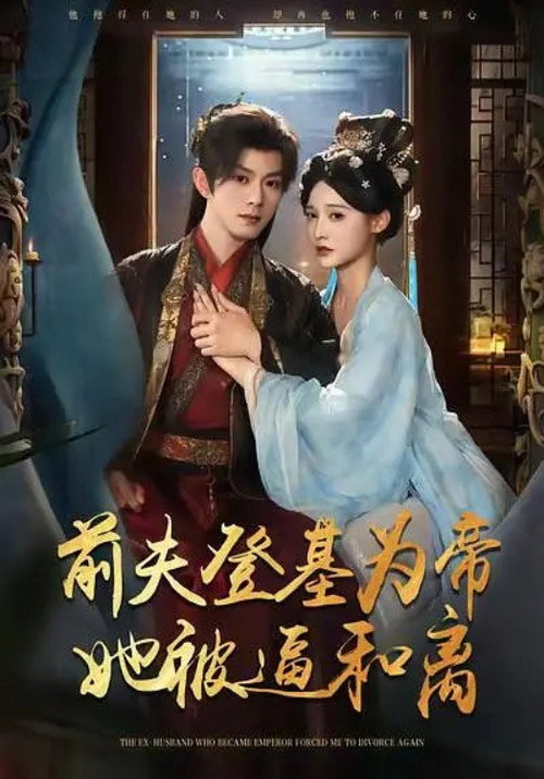 前夫君登基为帝，她被逼和离 poster