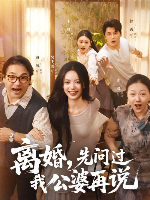 离婚,先问过我公婆再说 poster