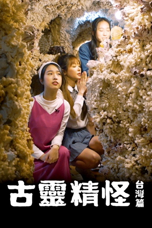 古靈精怪 台灣篇 poster