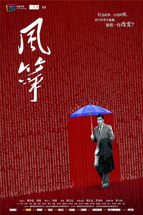 风筝·送审版 poster