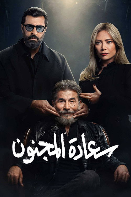 His Excellency the Madman poster