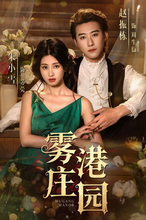 雾港庄园 poster