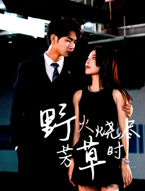 野火烧尽芳草时 poster