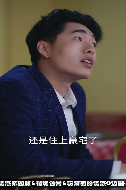 温柔的诱惑 poster