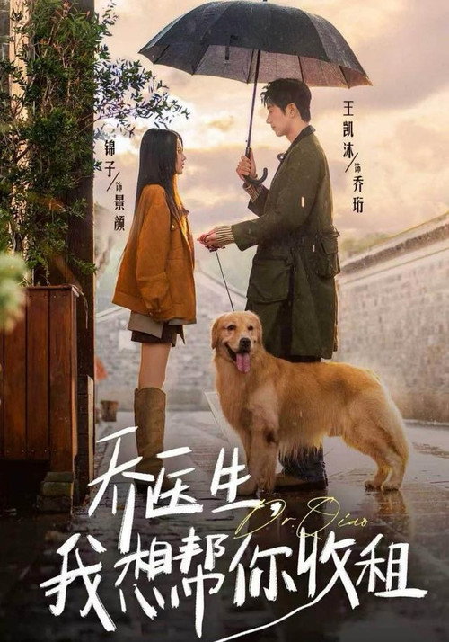 乔医生,我想帮你收租 poster