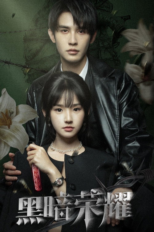 黑暗荣耀 poster