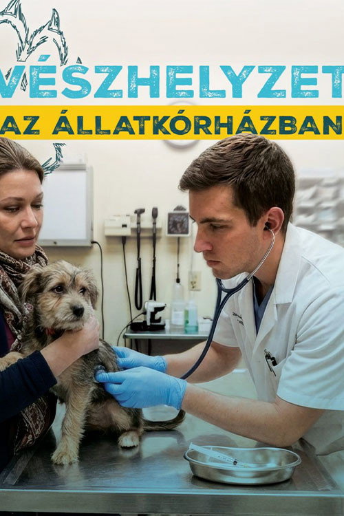 Vészhelyzet az állatkórházban poster