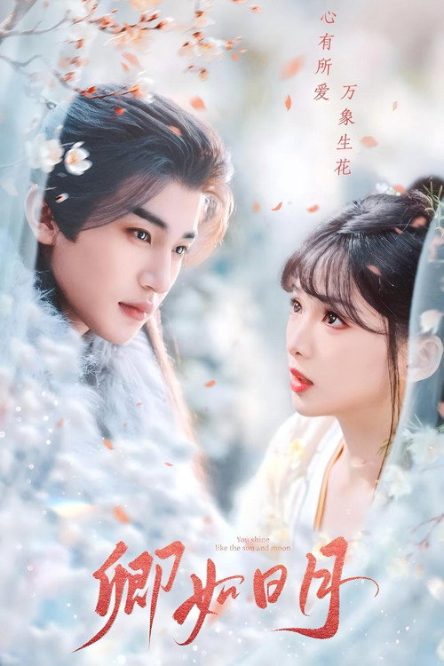 卿与日月 poster