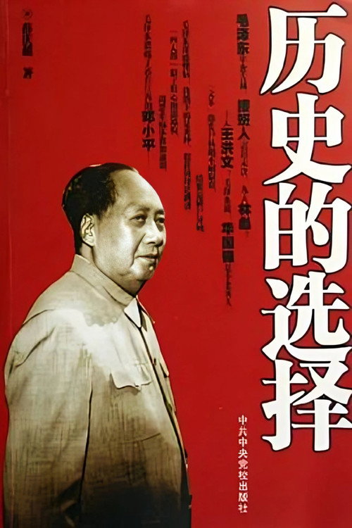 历史的选择 poster