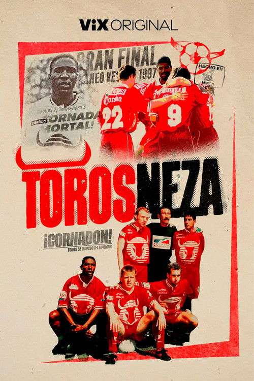 Toros Neza poster