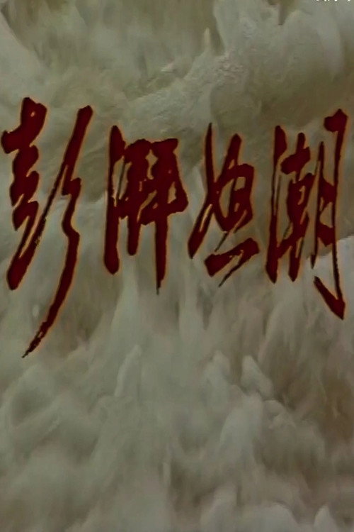 澎湃怒潮 poster