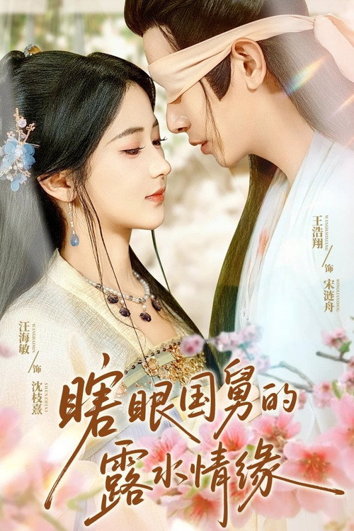 瞎眼国舅的露水情缘 poster