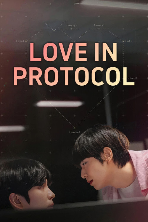 Love In Protocol poster