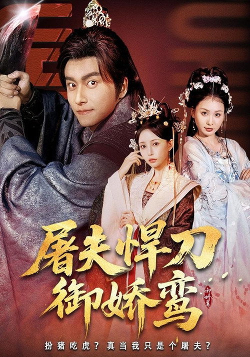 屠夫悍刀御娇鸾 poster