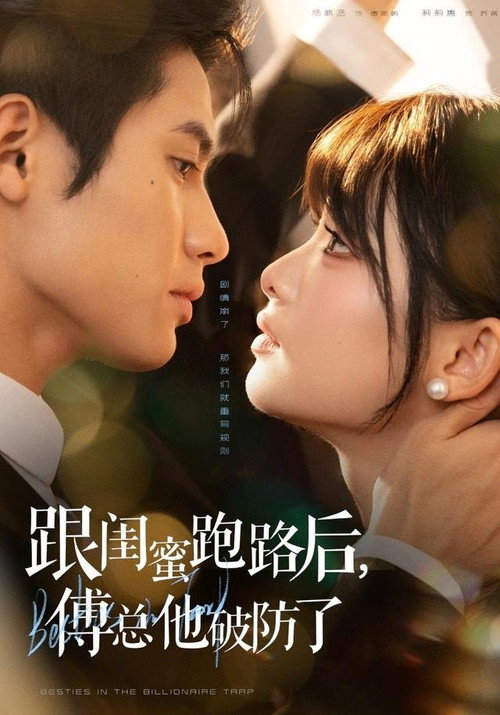 跟闺蜜跑路后，傅总他破防了 poster
