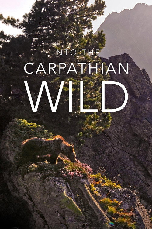 Into the Carpathian Wild poster
