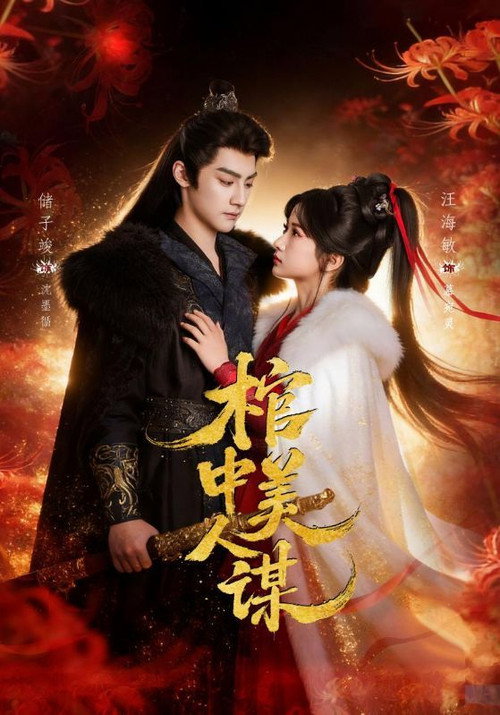 棺中美人谋 poster