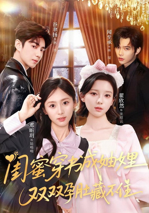 闺蜜穿书成妯娌，双双孕肚藏不住 poster