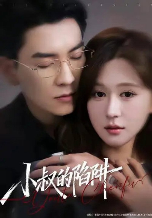 小叔的陷阱 poster