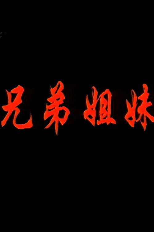 兄弟姐妹 poster