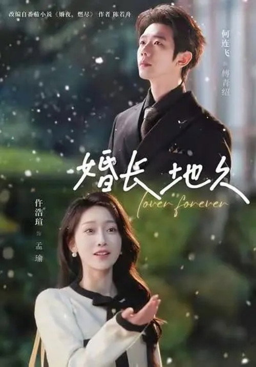 婚长地久 poster