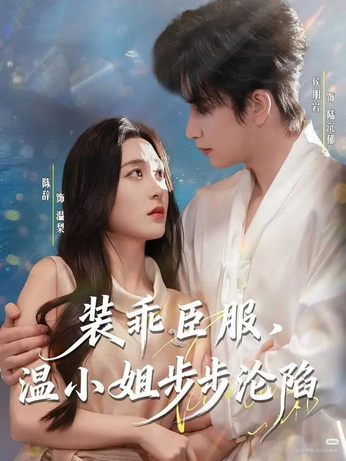 装乖臣服，温小姐步步沦陷 poster