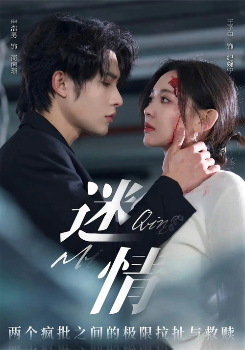 迷情 poster
