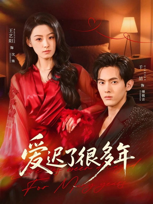 爱迟了很多年 poster