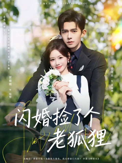 閃婚撿了個老狐狸 poster