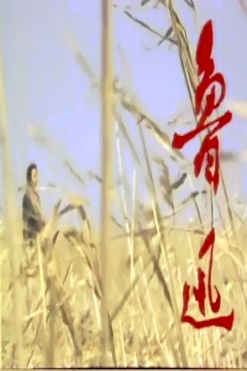 鲁迅 poster