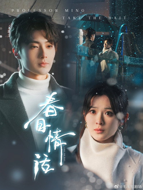 春日情话 poster